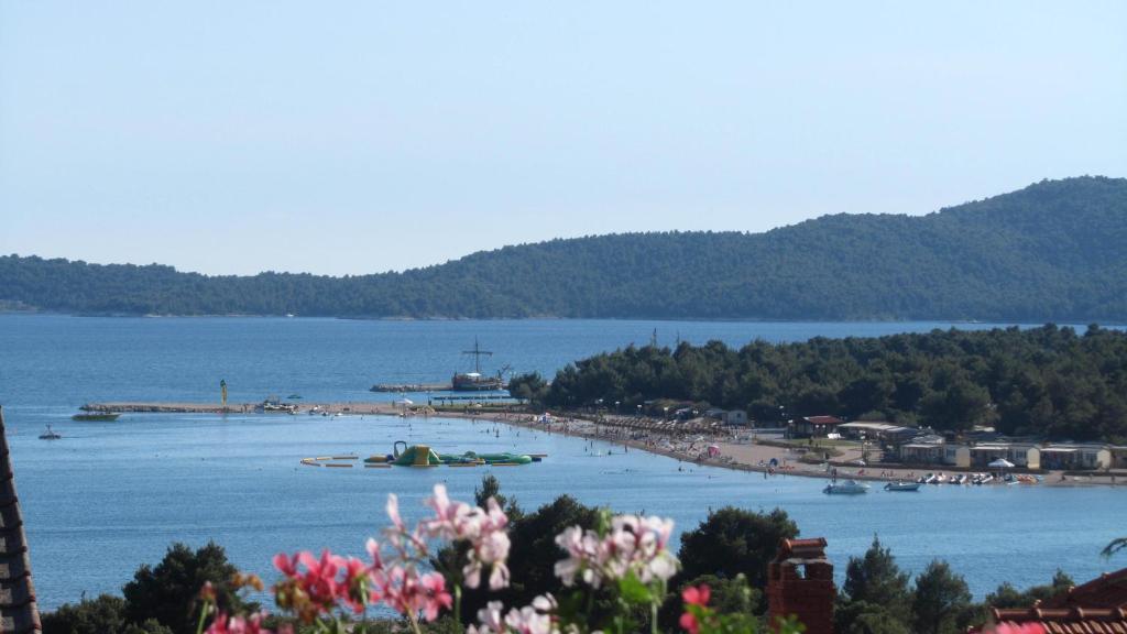 Jimy Apartments Šibenik Esterno foto